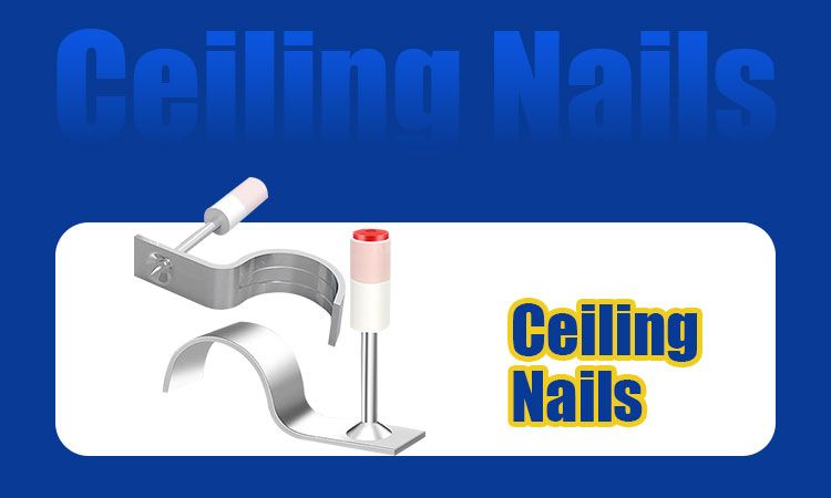 微信图片_20251027140920_264_352 微信图片_20251027140920_264_352