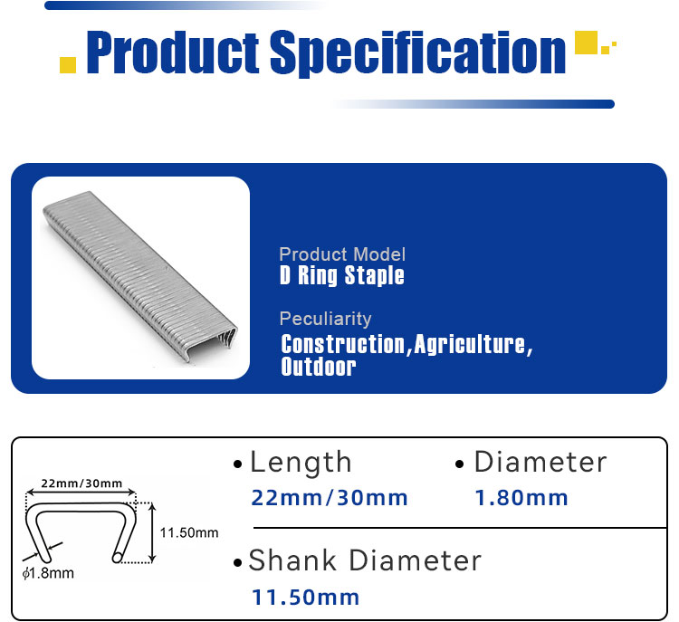 D型钉-详情_05 D型钉-详情_05