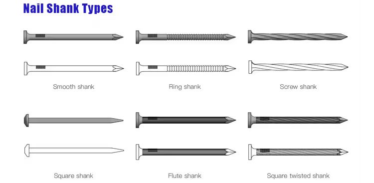 微信图片 _20250918165758_182_352