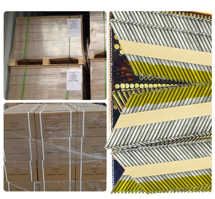 Clavos de tira de papel de vástago liso Rhinaills 2.87*60 Q235