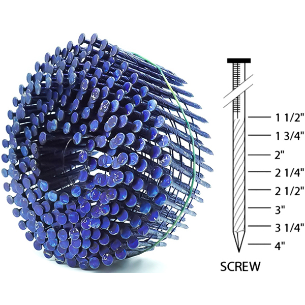 Norma de bobina espiral azul 1-4