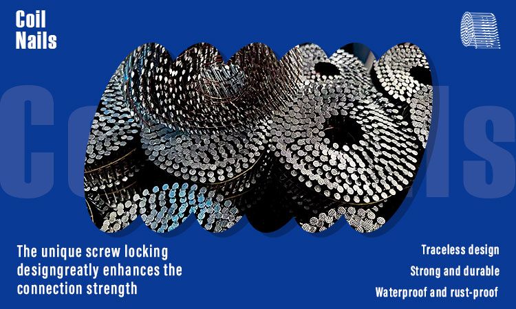 环纹卷钉-详情 _01