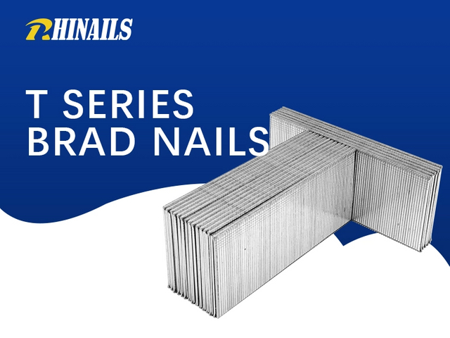Rhinails t Series Micro-Brad Nails | Conjunto de adornos y gabinete de precisión (20-50 mm)