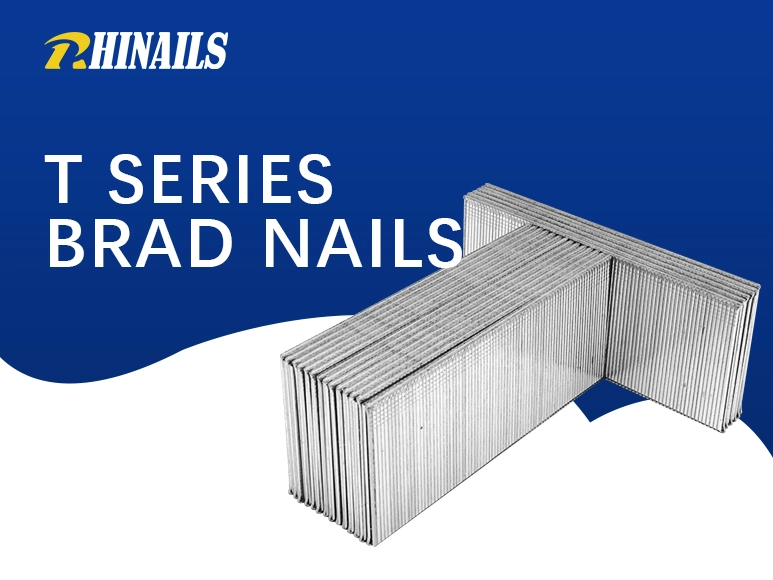 Rhinails t Series Micro-Brad Nails | Conjunto de adornos y gabinete de precisión (20-50 mm)