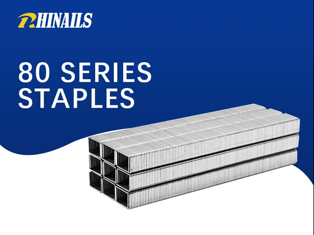Rhinails Serie 80 Series Galvanized Steel Staples | Rango de tamaño completo (1/4 'a 3/5 ')
