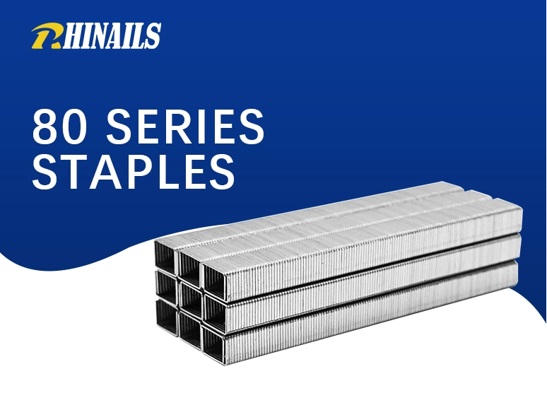 Rhinails Serie 80 Series Galvanized Steel Staples | Rango de tamaño completo (1/4 'a 3/5 ')