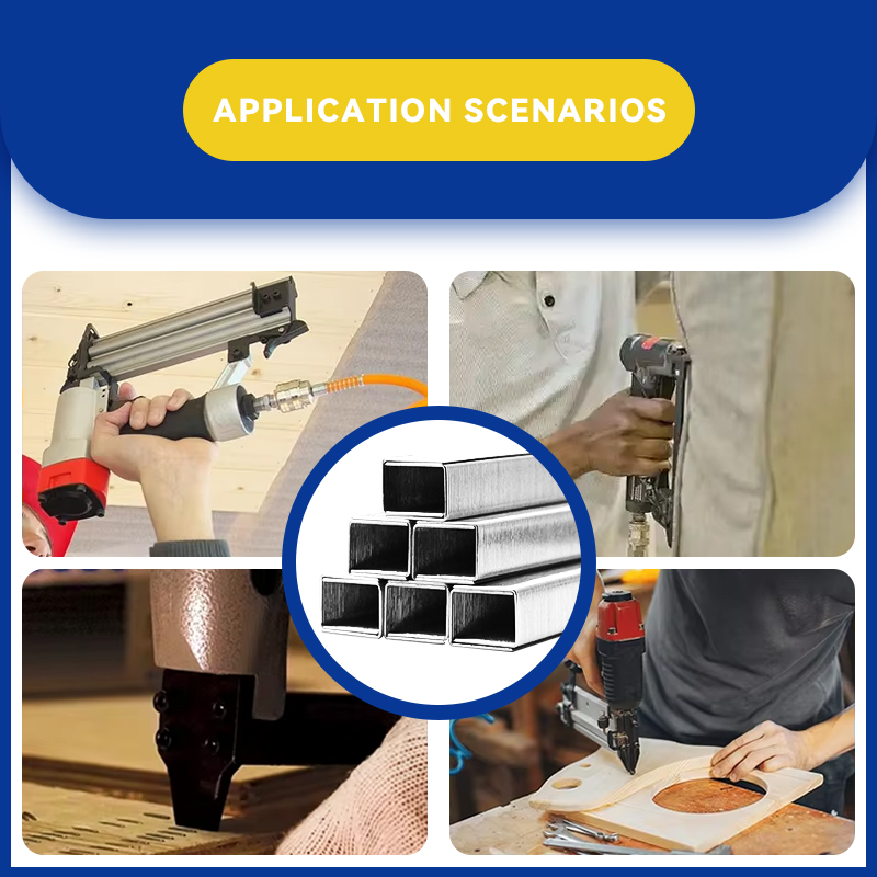 Rhinails Serie 80 Series Galvanized Steel Staples | Rango de tamaño completo (1/4 'a 3/5 ')