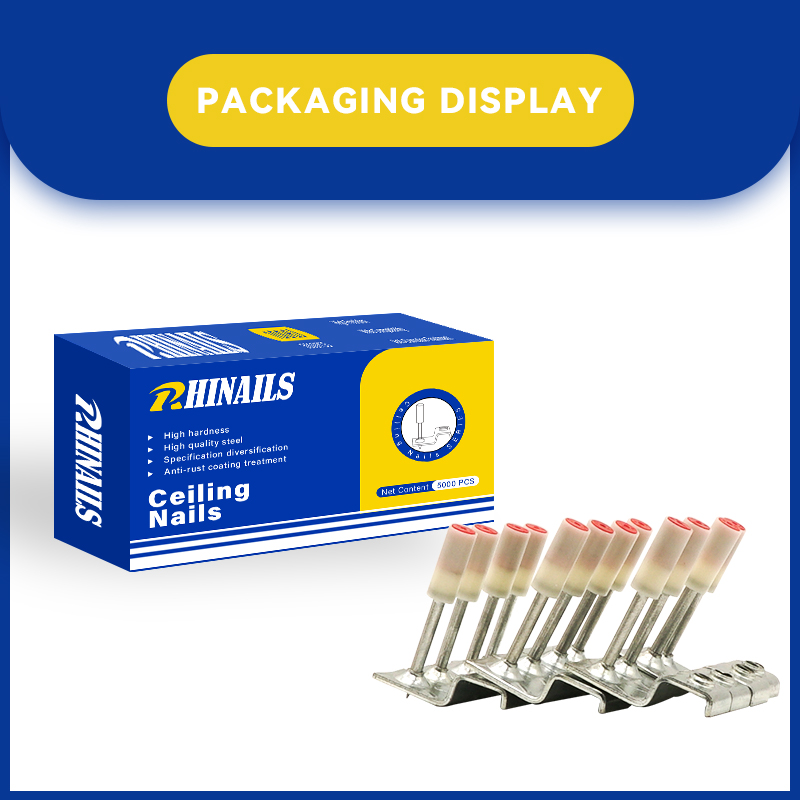 Clavos para techo integrados Rhinails - 32 mm con orificios roscados M6/M8/M10