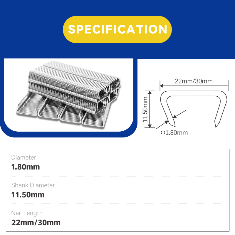 Grapas de anilla en D Rhinails de 22 mm y 30 mm - Grapas para cercas de alambre galvanizado de alta resistencia