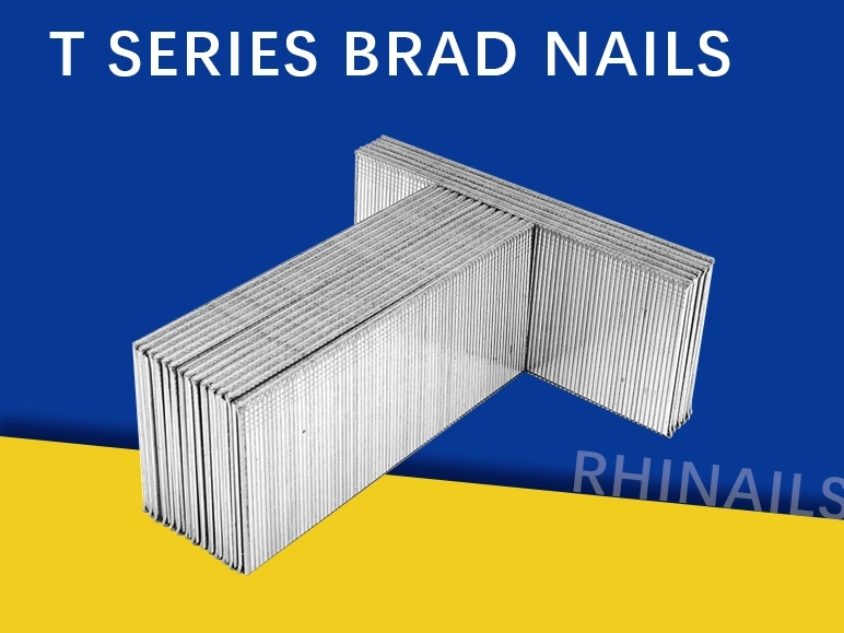 Rhinails t Series Micro-Brad Nails | Conjunto de adornos y gabinete de precisión (20-50 mm)