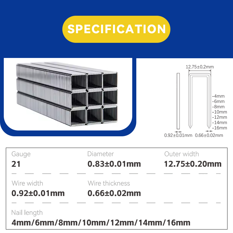 Rhinails Serie 80 Series Galvanized Steel Staples | Rango de tamaño completo (1/4 'a 3/5 ')