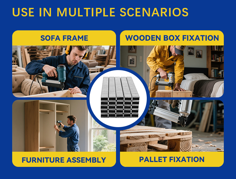 4J Universal Zinc Coated Staples - Rango de tamaño completo (2/5 'a 1 ') | Grandeo de paleta de acero galvanizado de calibre 20