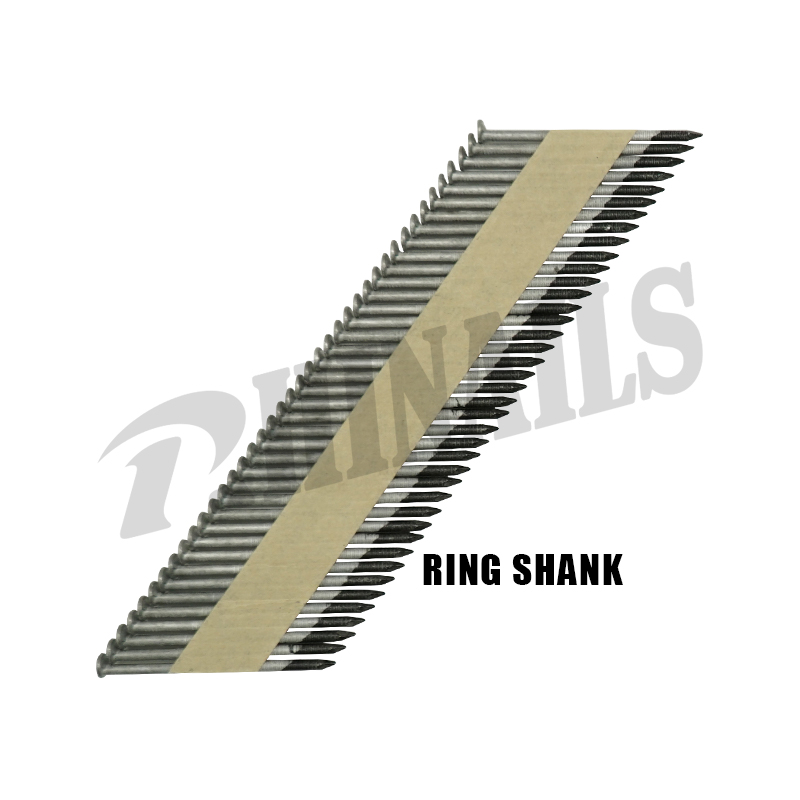 Clavos de tira de papel con mango de anillo de acero inoxidable Rhinaills 2,87*50