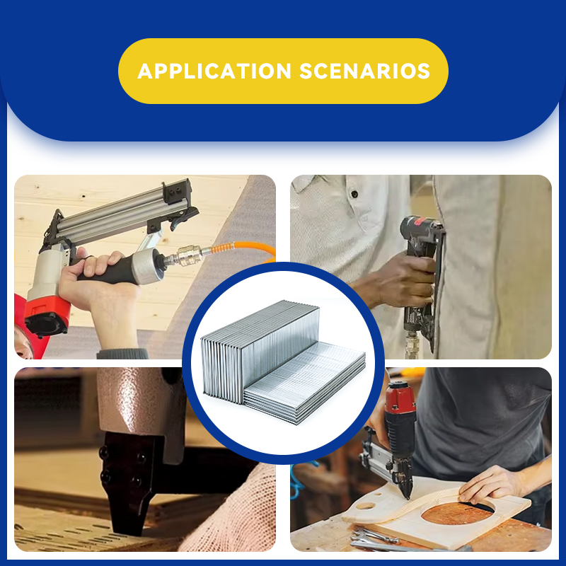 Rhinails t Series Micro-Brad Nails | Conjunto de adornos y gabinete de precisión (20-50 mm)