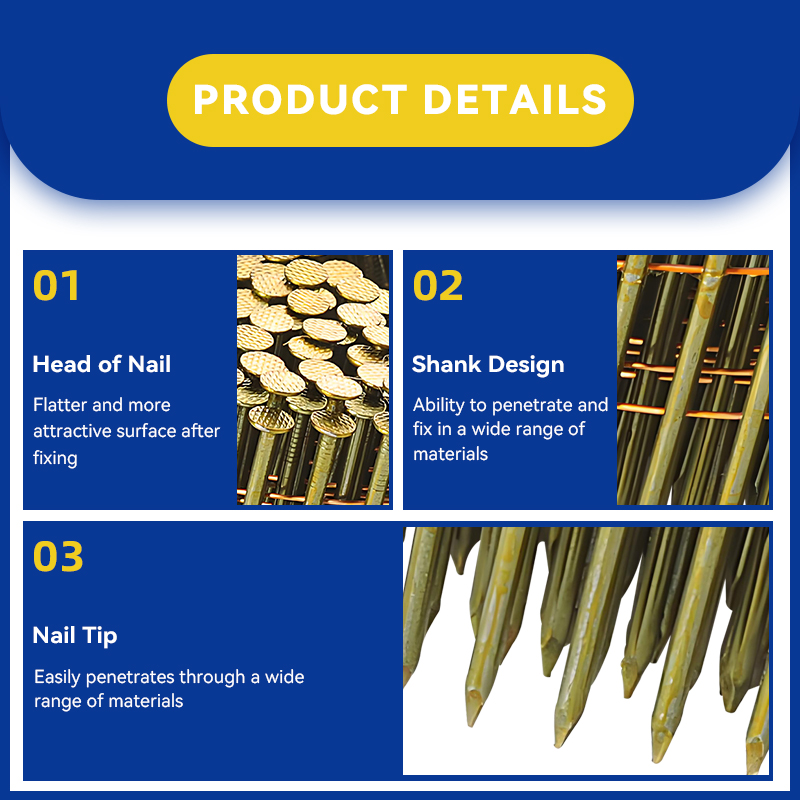 Colección profesional de uñas de bobina lisa para marcar y construcción