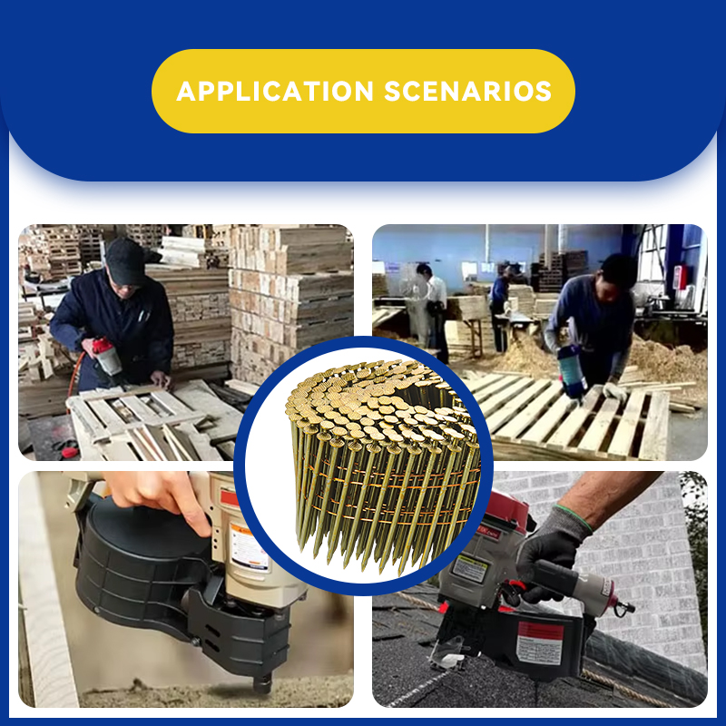 Colección profesional de uñas de bobina lisa para marcar y construcción